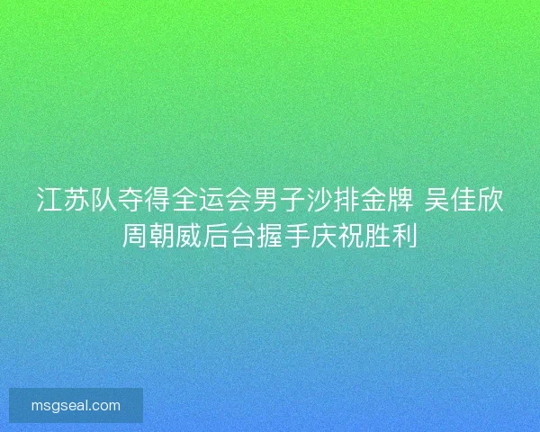 江苏队夺得全运会男子沙排金牌 吴佳欣周朝威后台握手庆祝胜利